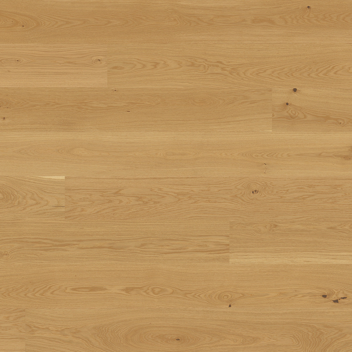 Belgotex Bjelin Parquet Plank 'Natural' - 2.40m2 per pack
