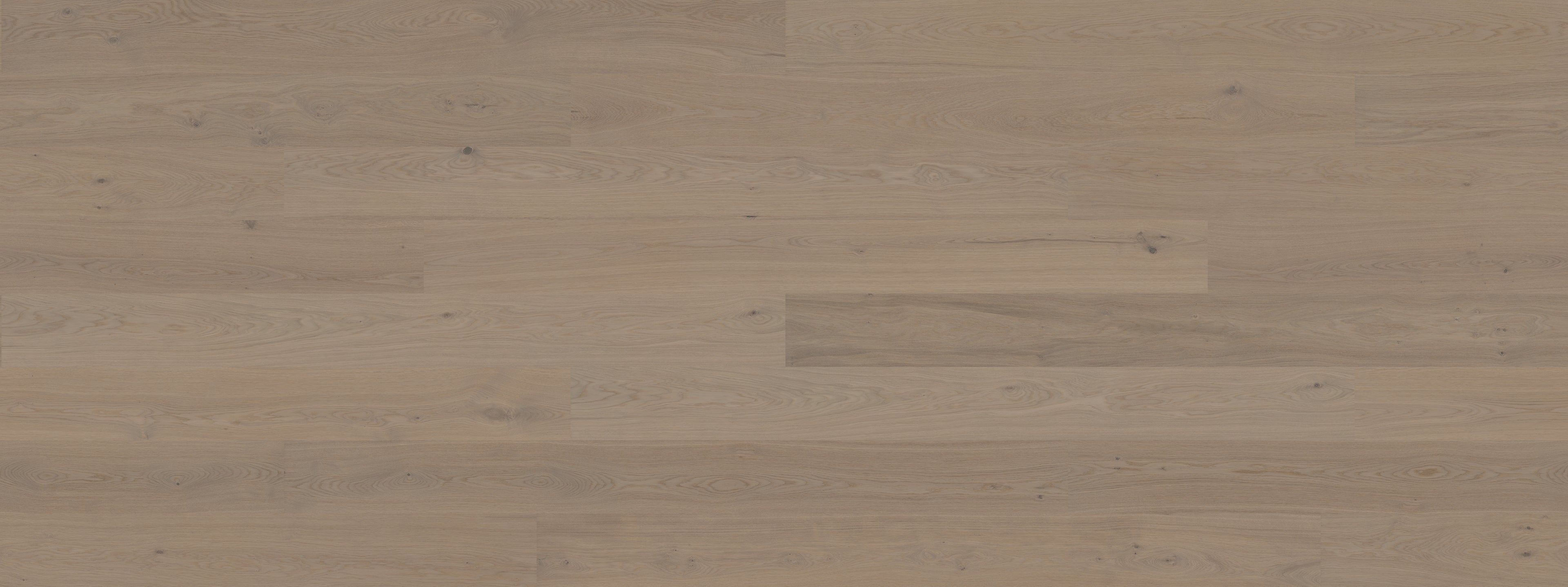 Belgotex Bjelin XL Hardened Timber 'Earth Grey, Nature' - 1.812m2 per pack