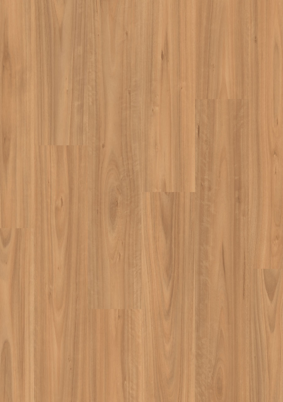 Quick-Step Classic 'Blackbutt Light' CL4965 - 1.596m2 per pack