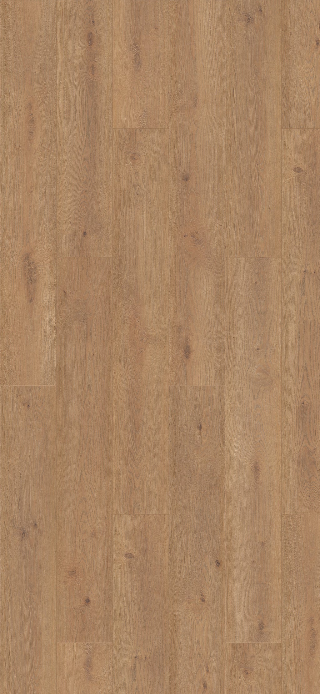Belgotex Purefloor 8 'Roble Bern' - 2.324m2 per pack