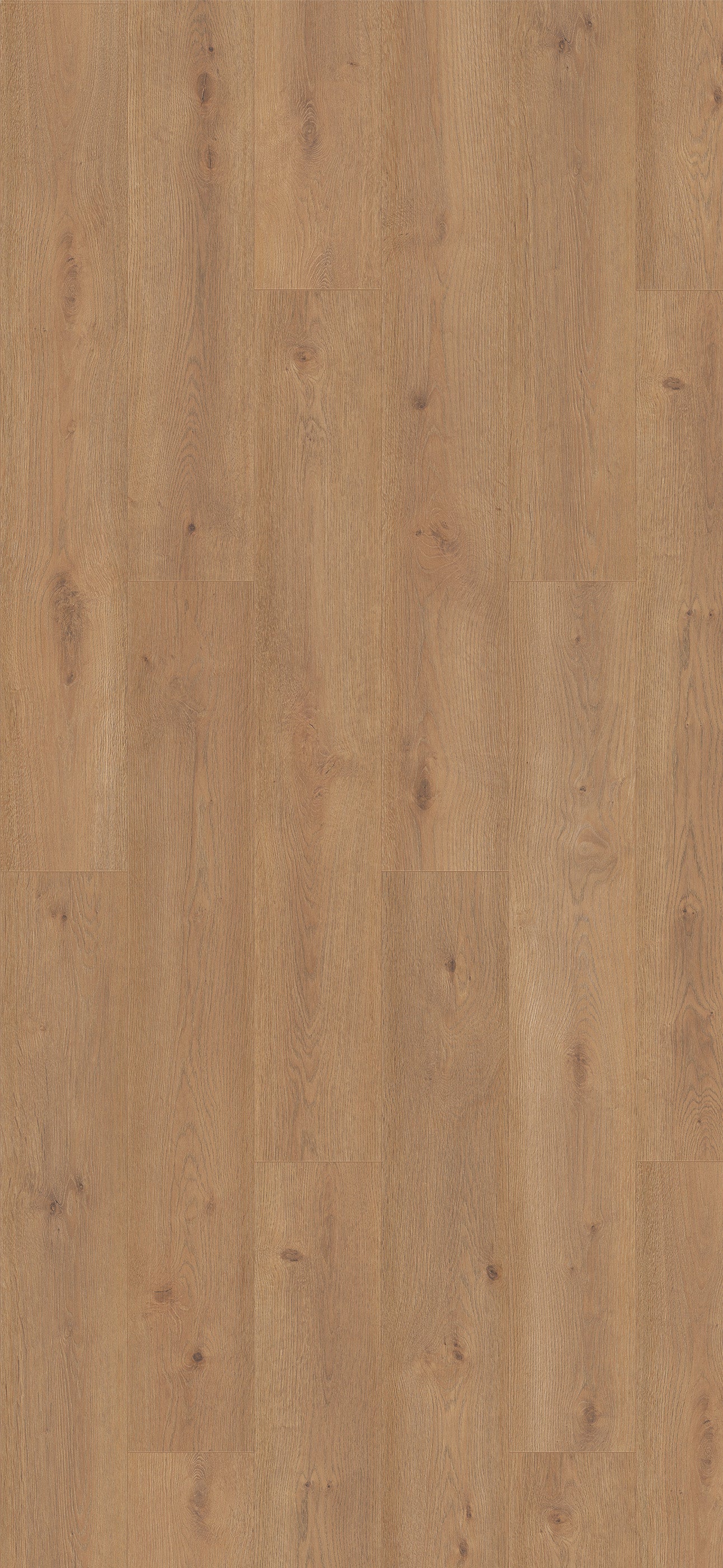 Belgotex Purefloor 8 'Roble Bern' - 2.324m2 per pack