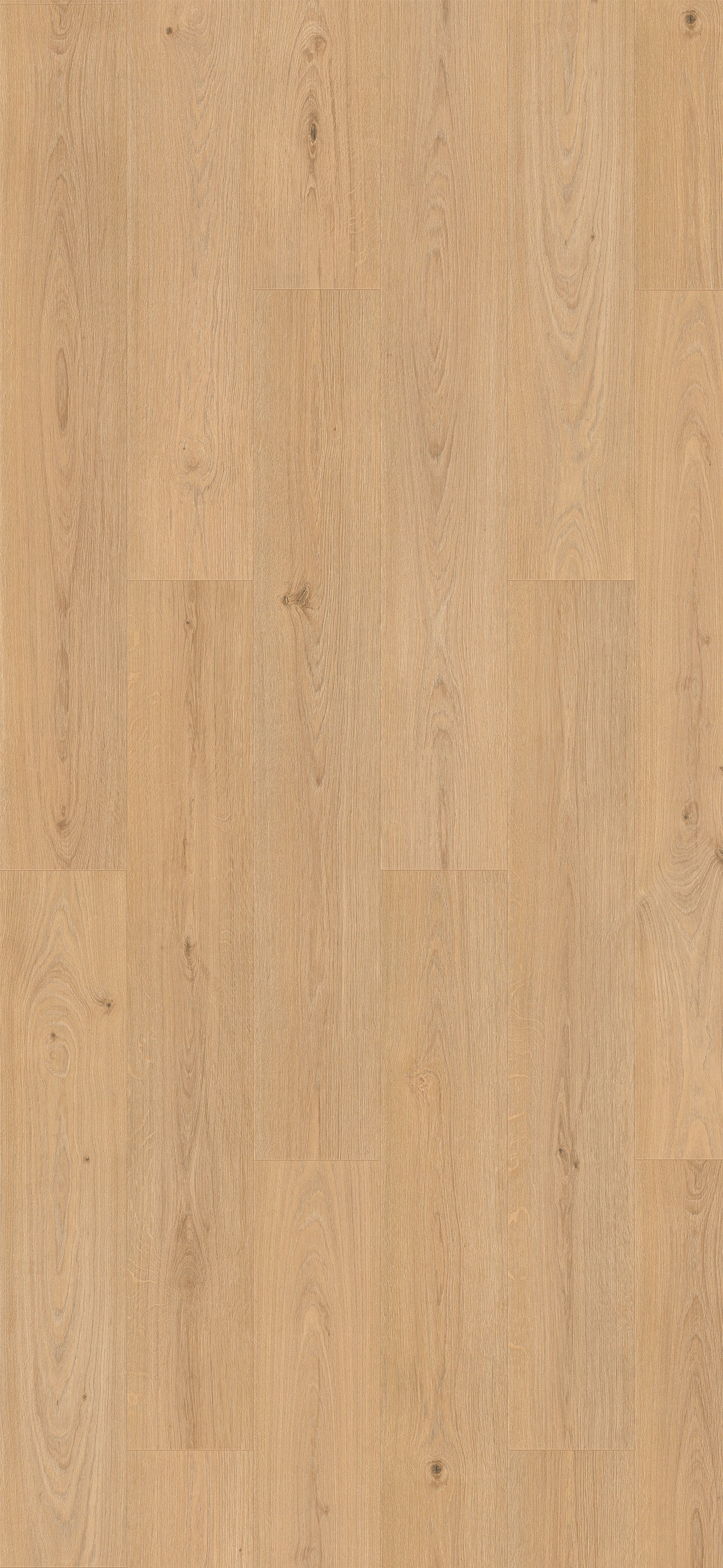 Belgotex Purefloor 8 'Roble Dalia' - 2.324m2 per pack